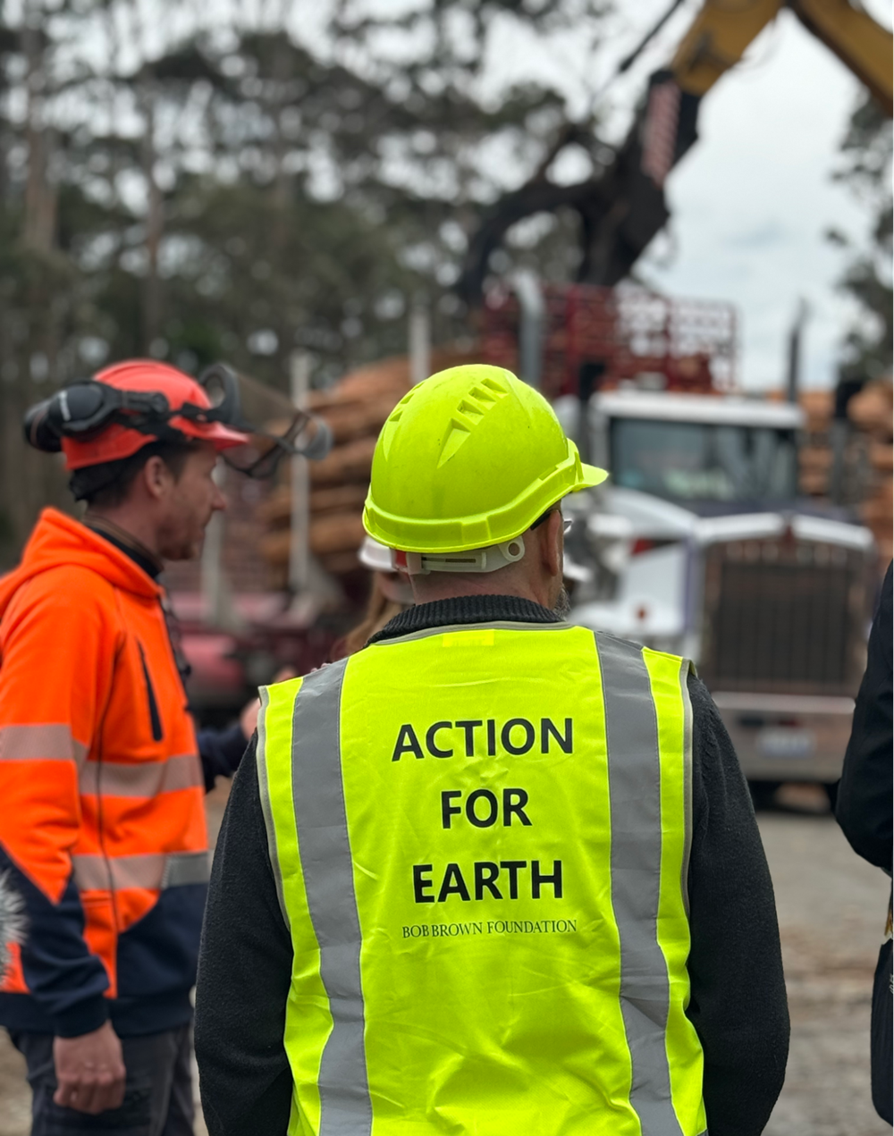 Action for Earth hi-vis vest inside a forestry coupe.