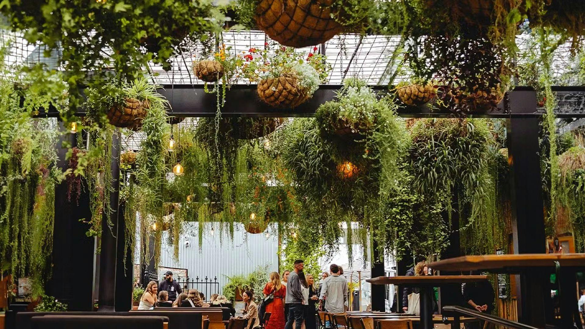 People stand under the lush green hanging plants of In The Hanging Garden