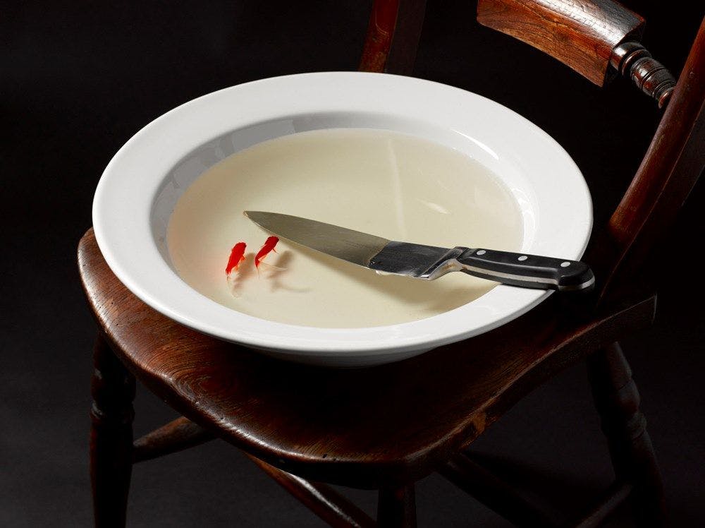 On a wooden chair sits a white bowl containing water, a knife and two gold fish.