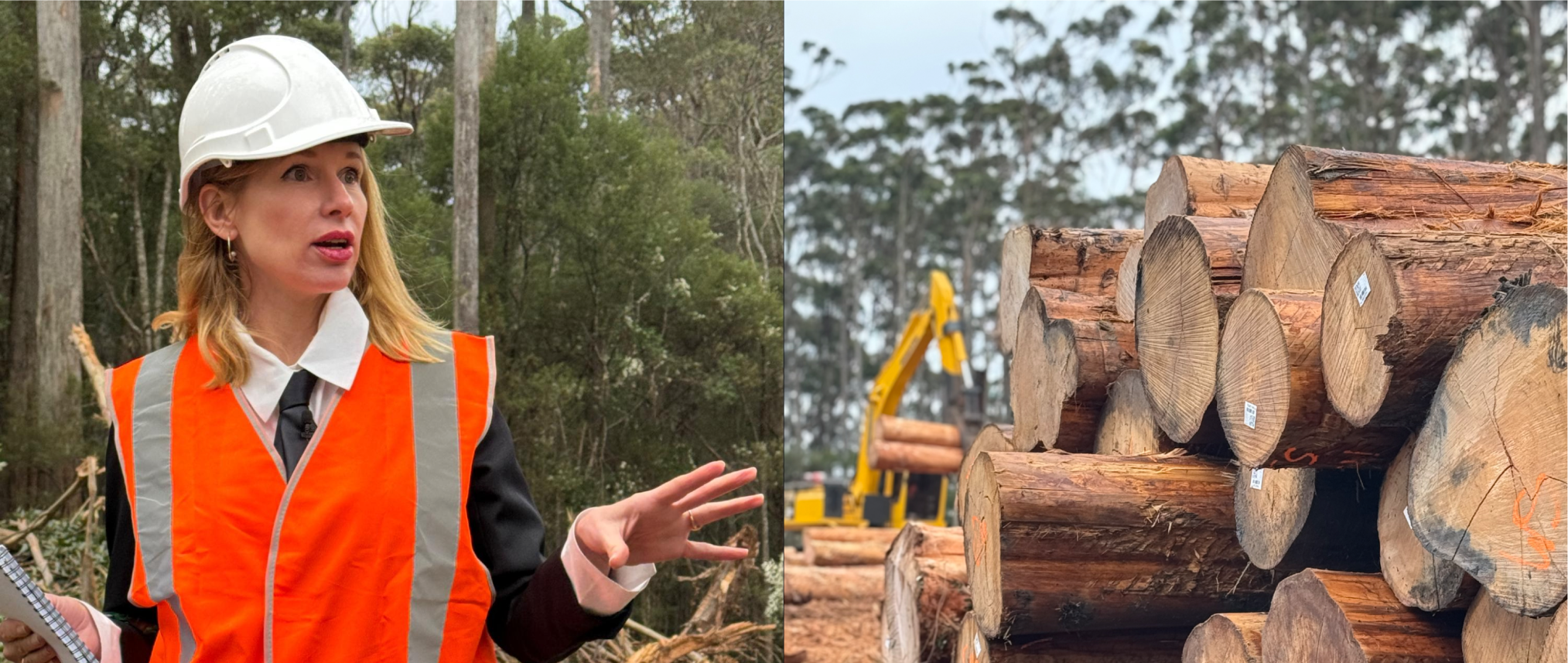 Composite image of Kirsha Kaechele and stacked logs