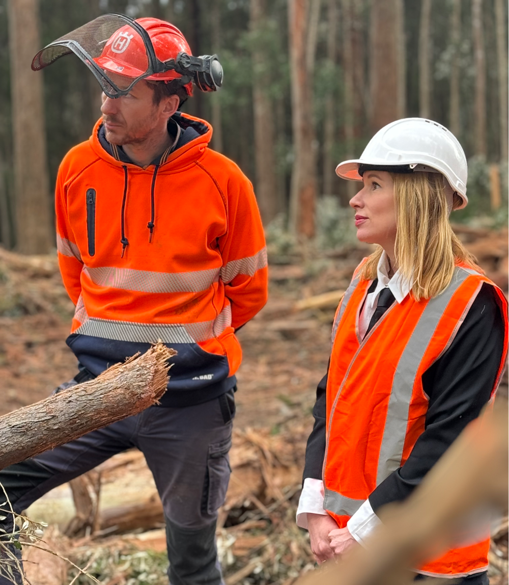 Kirsha and a forestry worker in the coupe.